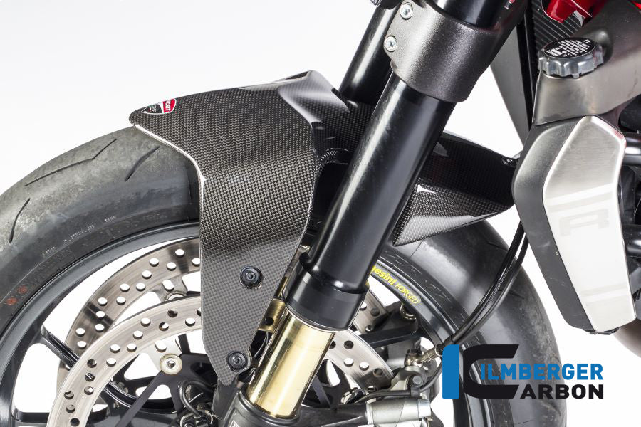 Ilmberger Carbon Front Fender Ducati Monster 1200 - Gloss