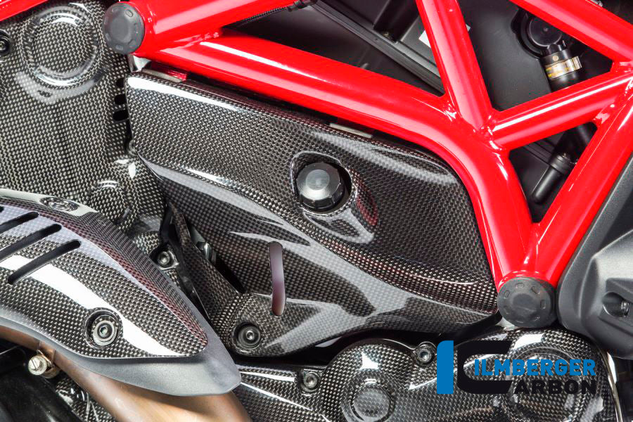 Ilmberger Carbon Cover Under The Frame Right - Gloss