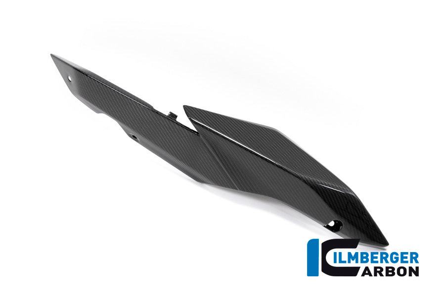 Ilmberger Carbon Seat Unit Panel Right BMW R 1250 R / R 1250 RS