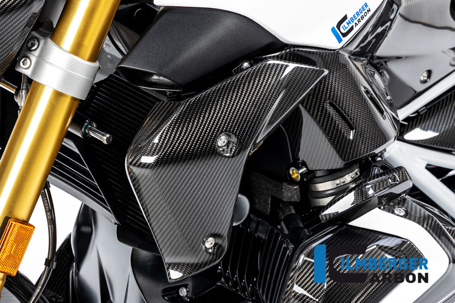 Ilmberger Carbon Watercooler Cover Left Side BMW R 1250 R