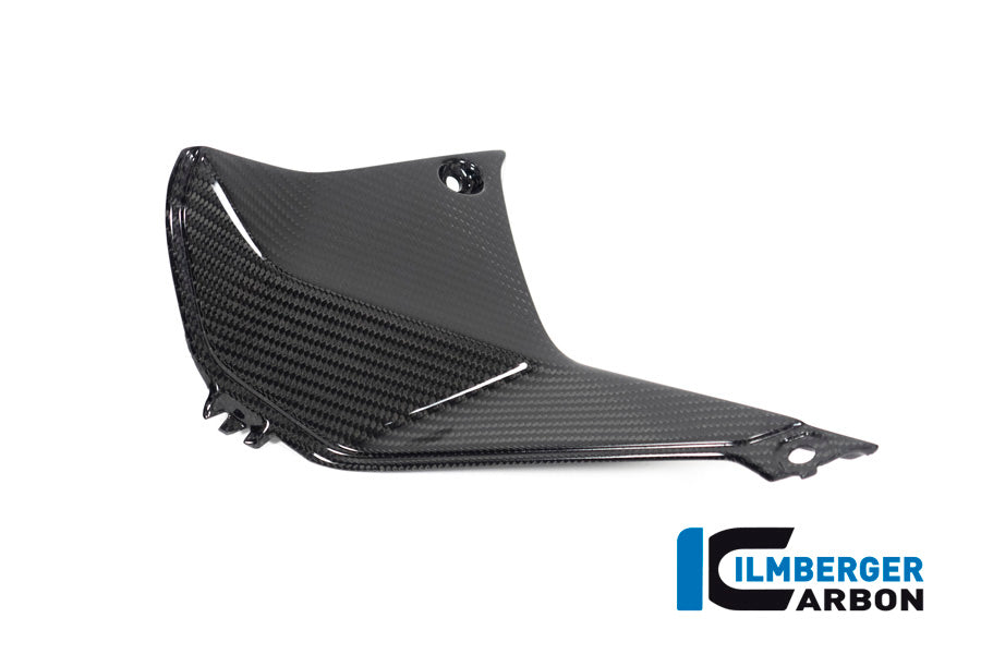 Ilmberger Carbon Cover Near The Instrument Left Side BMW R 1250 RS´19