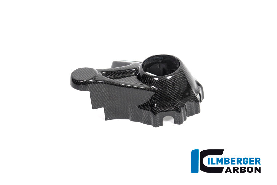 Ilmberger Carbon Bevel Drive Housing Protector (Mounting Without Rear Splash Guard)