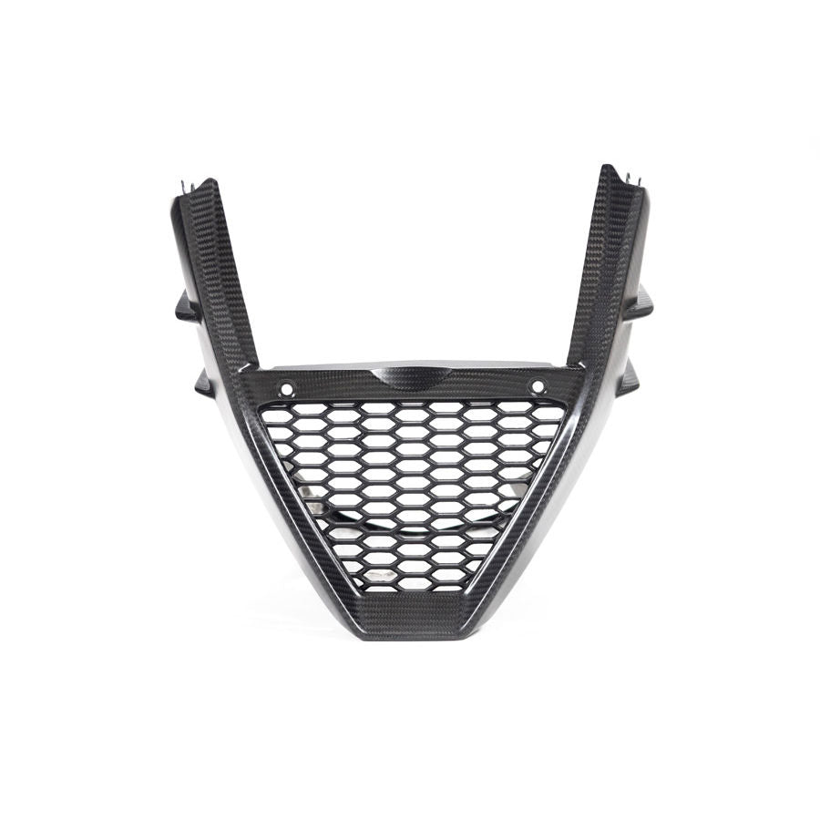 Ilmberger Carbon Fiber Bellypan Fairing Aprilia Tuono V4 1100 Factory