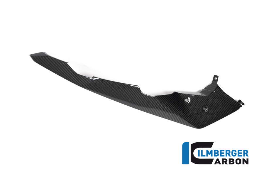 Ilmberger Carbon Front Beak / Upper Mudguard Left Side BMW R 1250 GS Adventure From 2019