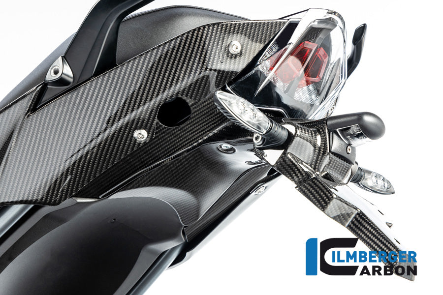 Ilmberger Carbon Numberplateholder (2 Pieces) BMW R 1250 R / R 1250 RS