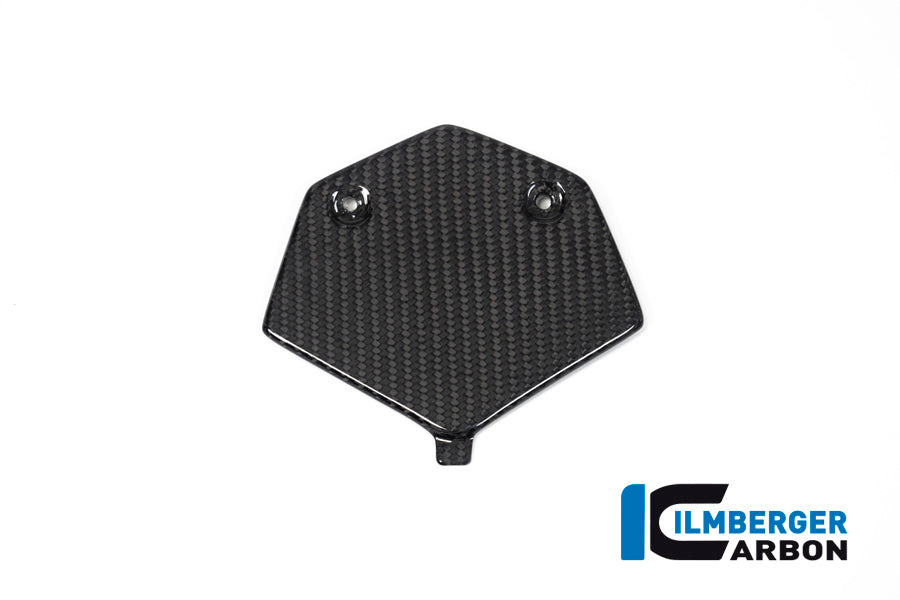 Ilmberger Carbon Seat Unit Racing BMW M 1000 RR / S 1000 RR MY From 2019