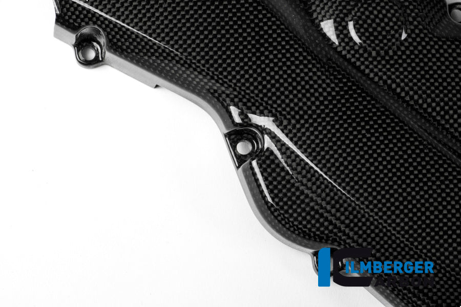 Ilmberger Carbon Horizontal Timing Belt Cover Surface - Gloss