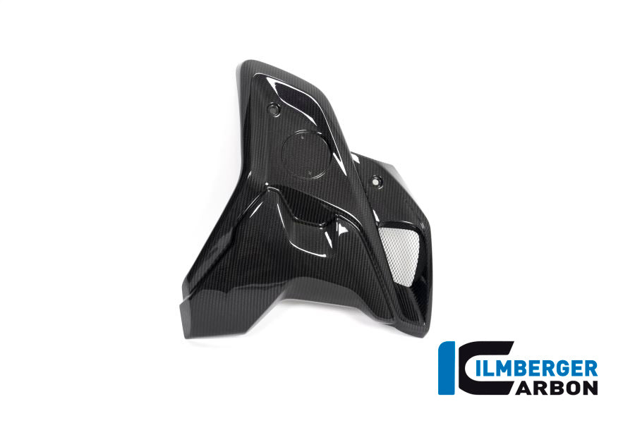 Ilmberger Carbon Airtube Right Incl Flap (2pieces) BMW R 1250 GS