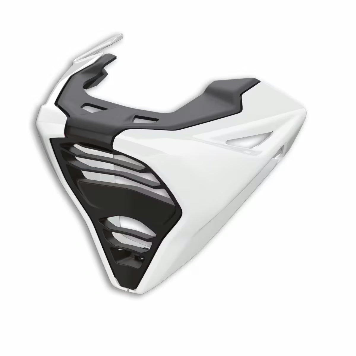 Ducati Performance Engine Belly Fairing