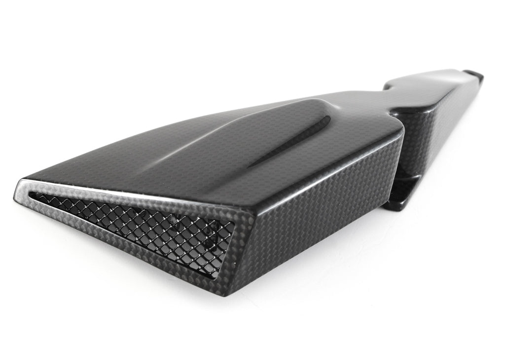 Fullsix Carbon Cam-Belt Cover - Hor.