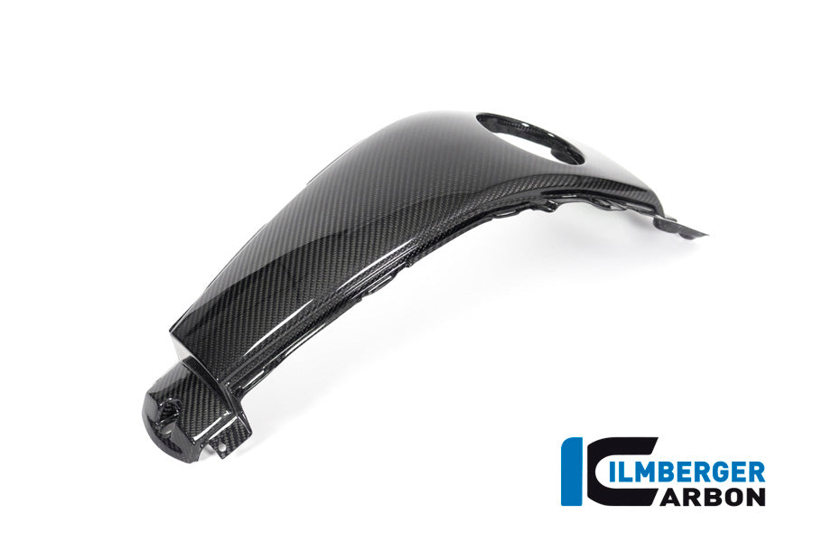 Ilmberger Carbon Tank Centre Panel - BMW K 1600 GT / K 1600 GTL / K 1600 Bagger