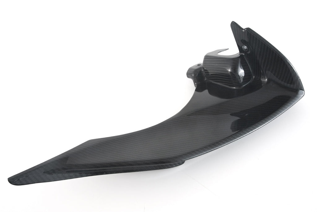Fullsix Carbon Airtube And Instrument Covers R1m - Set