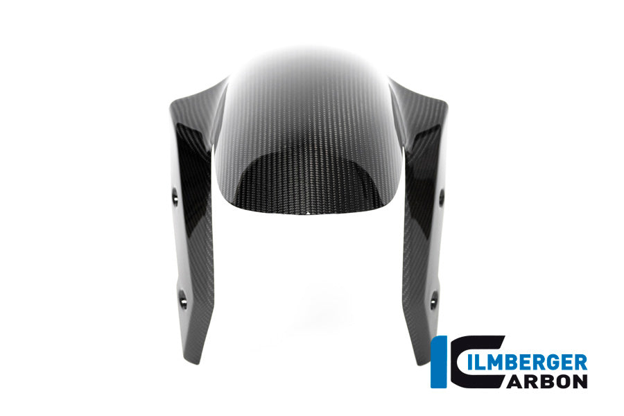 Ilmberger Carbon Front Fender BMW R 1250 R MY From 2019
