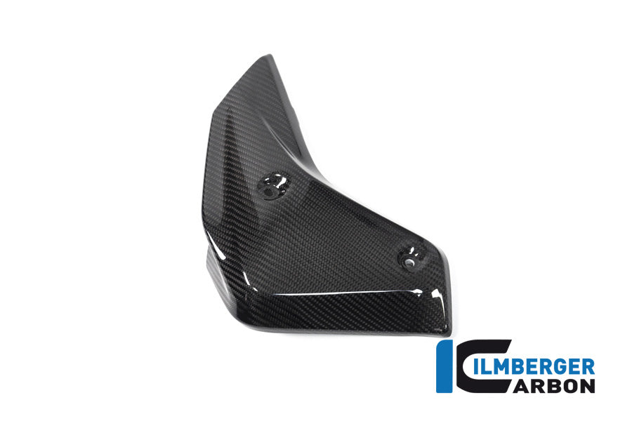 Ilmberger Carbon Watercooler Cover Left Side BMW R 1250 R