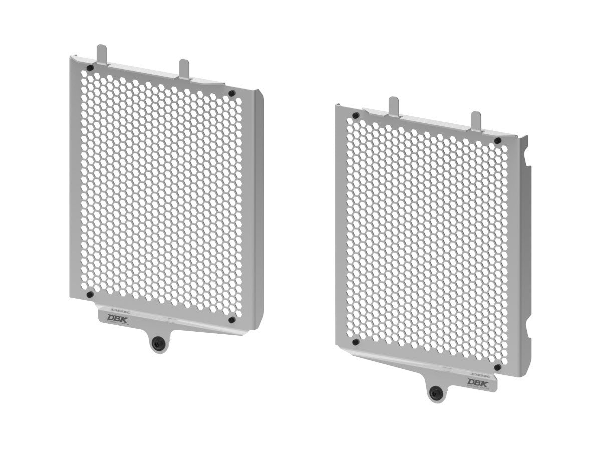 Ducabike DBK GR21 BMW R1300GS Water Radiator Guard - SILVER