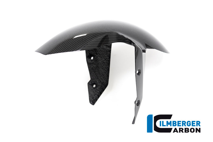 Ilmberger Carbon Front Fender BMW R 1250 R MY From 2019