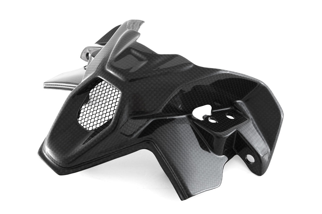 Fullsix Carbon Inner Headlight Fairing