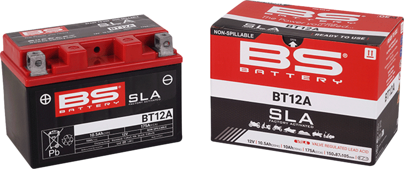 BS Battery Battery - BT12A (YT)