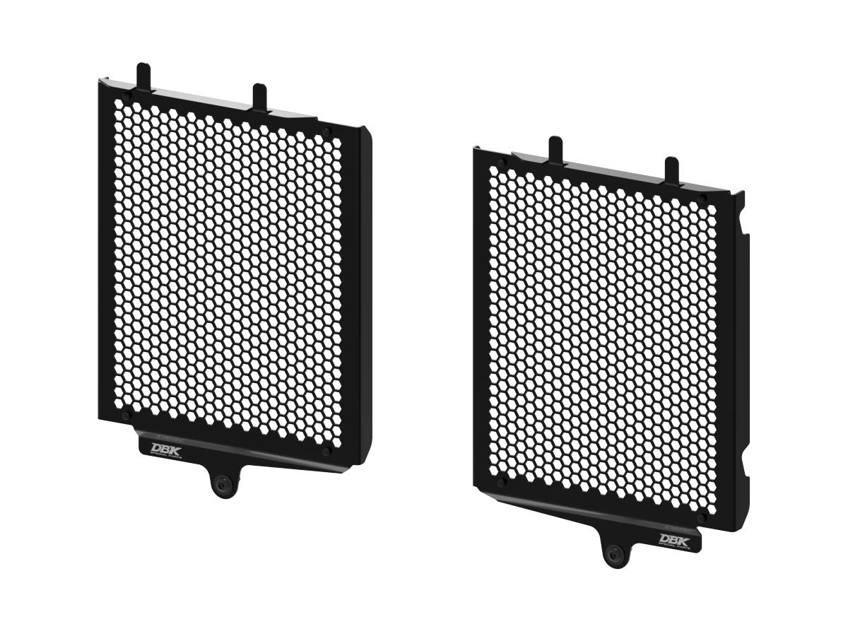 Ducabike DBK GR21 BMW R1300GS Water Radiator Guard - BLACK