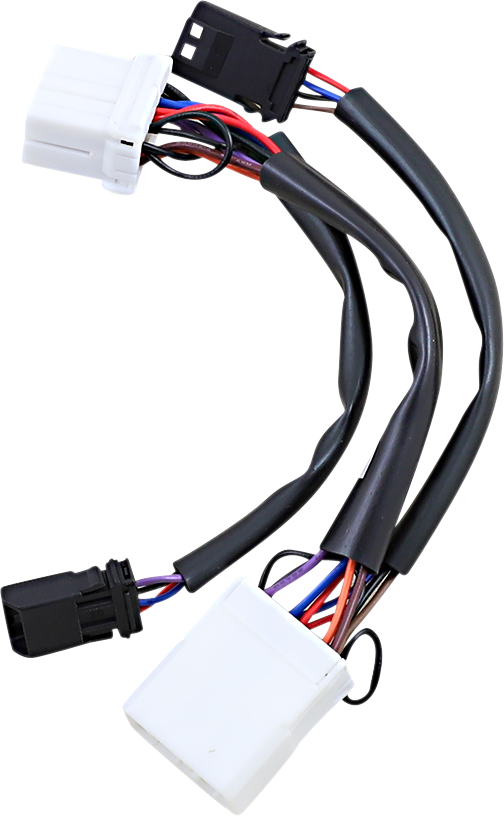 Custom Dynamics Adapter - Dual Color Plasma Rods