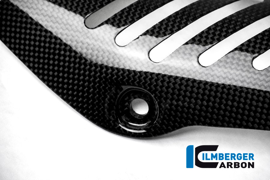 Ilmberger Carbon Exhaust Heat Shield On The Manifold - Gloss / Plain