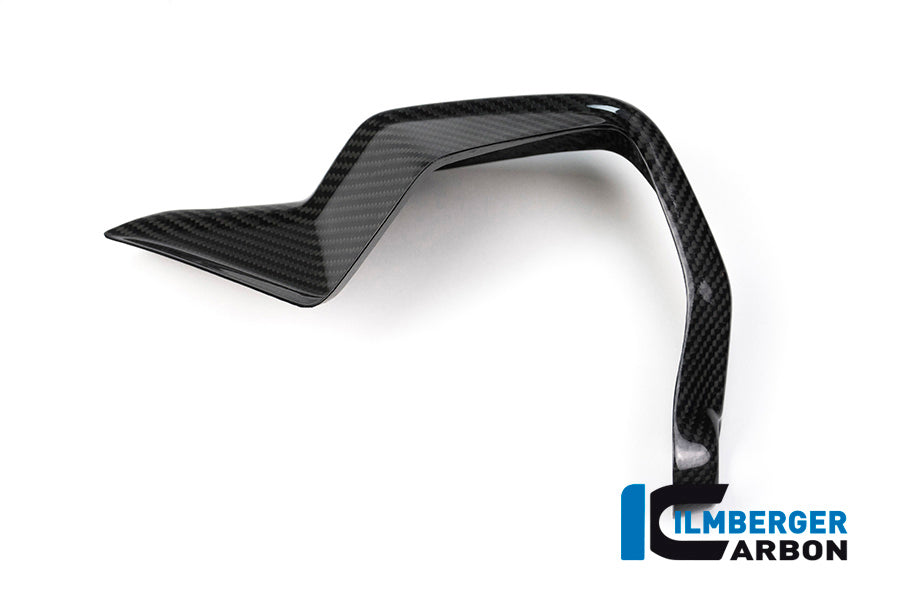 Ilmberger Carbon Hand Protector Right BMW S 1000 XR (All Years)