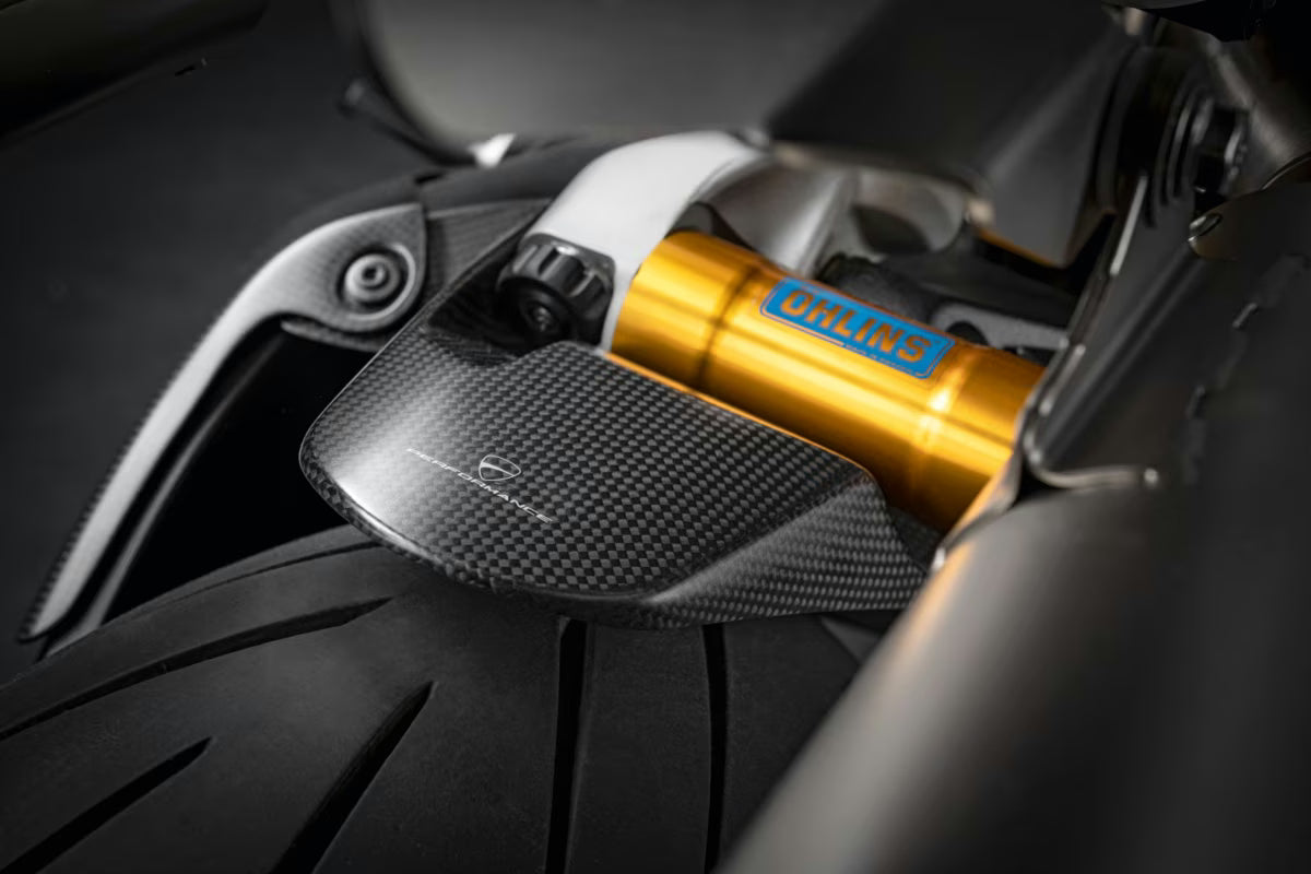 Ducati Performance Carbon Rear Mudguard