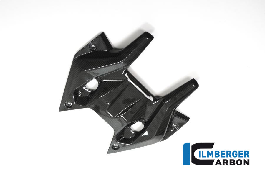 Ilmberger Carbon Cockpitabdeckung Oben,Verkleidungsschibenhalter BMW R1200RS'15