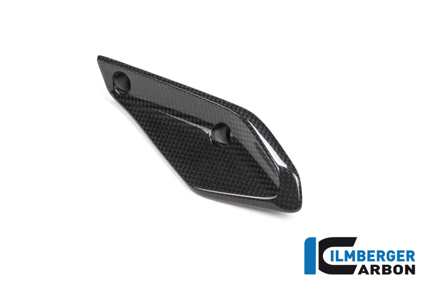 Ilmberger Carbon Verkleidungswinglet Links BMW R 1200 RS'15