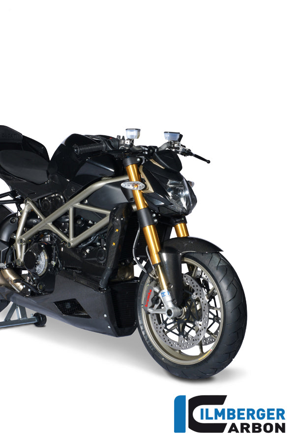 Ilmberger Carbon Front Fender Ducati Streetfighter