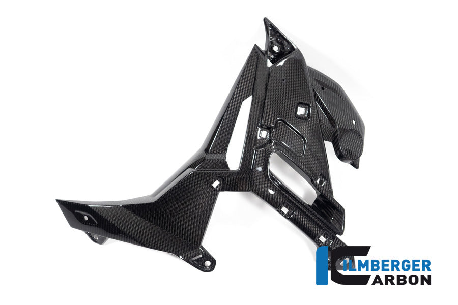 Ilmberger Carbon Watercooler Cover Left BMW M 1000 R From 2023