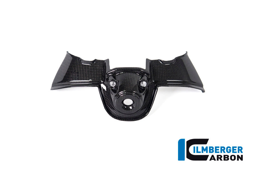 Ilmberger Carbon Ignition Switch Cover Ducati Panigale V4 / V4 S - Gloss