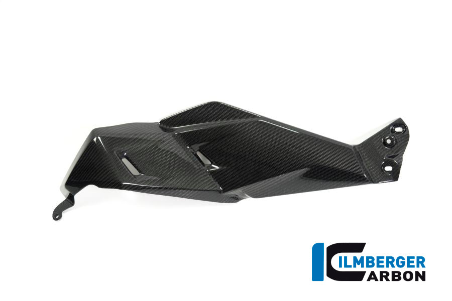 Ilmberger Carbon Airvent Cover Left Side BMW R 1250 GS