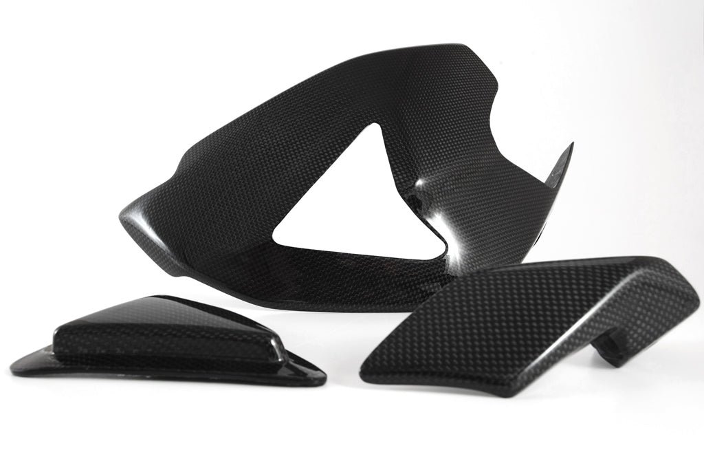 Fullsix Carbon SWINGARM GUARD With SLIDER And SHARK FIN