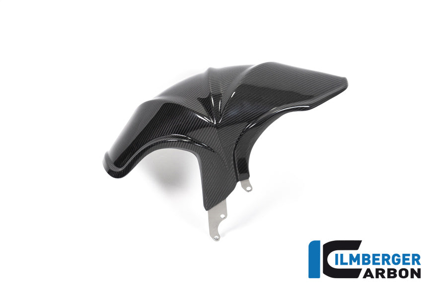 Ilmberger Carbon Rear Hugger BMW R 1250 R (LC) 2019