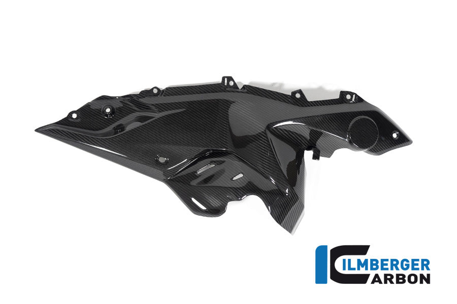Ilmberger Carbon Side Panel Under The Tank Right Side BMW R 1250 RS