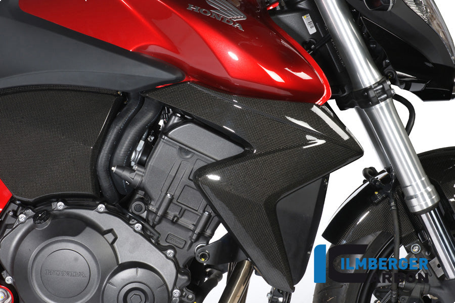 Ilmberger Carbon Water Radiator Cover Right Carbon