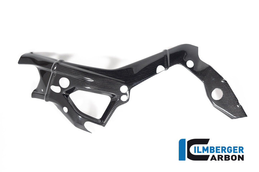 Ilmberger Carbon Frame Cover Left Side BMW S 1000 R MY From 2021 / M 1000 R MY From 2023