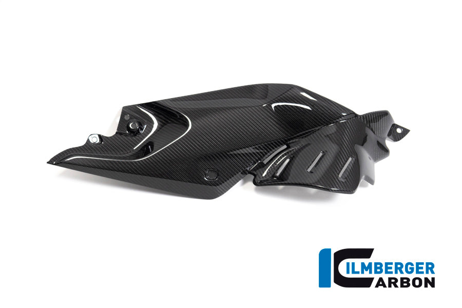 Ilmberger Carbon Side Panel Under The Tank Right BMW R 1250 R