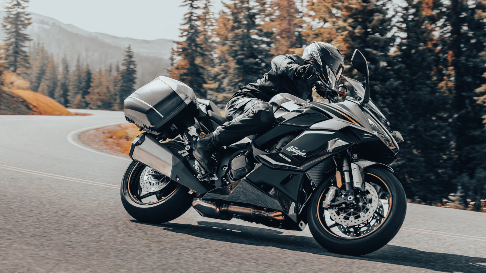 BT Moto 1100sx.jpg