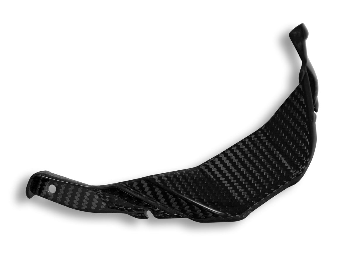 Ducabike DBK CRB143L BMW S1000RR Glossy Carbon Front Lip