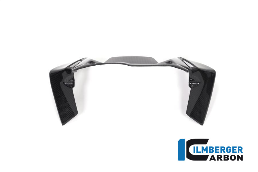 Ilmberger Carbon Windprotector On The Instruments BMW R 1250 GS