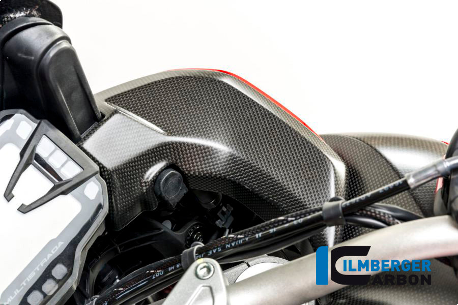Ilmberger Carbon Cover Near The Instrument Right Side Surface - Matte