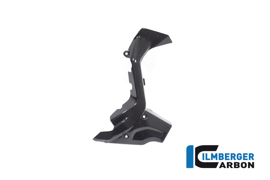Ilmberger Carbon Sprocket Cover Ducati Diavel V4 From 2023 - Gloss