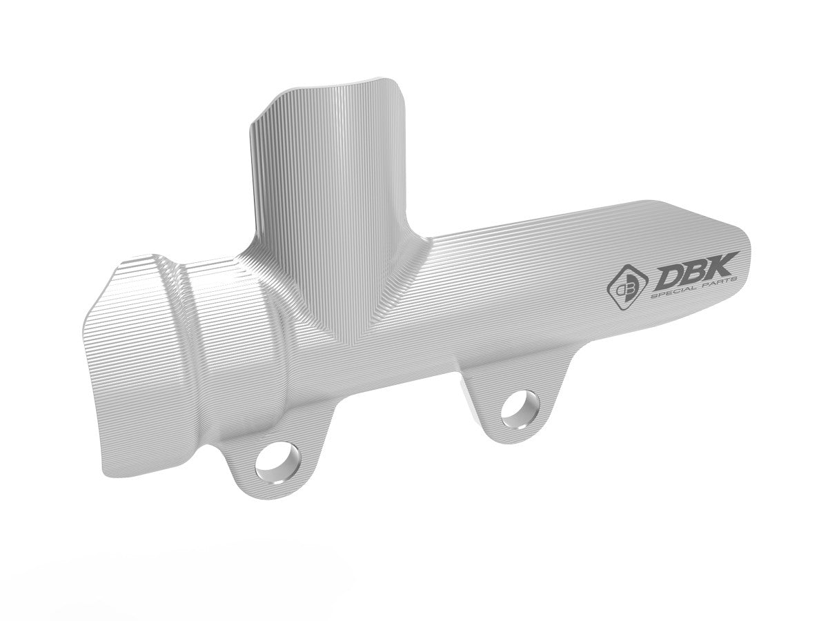 Ducabike DBK PPF05 Brembo Rear Brake Pump Protection - Silver