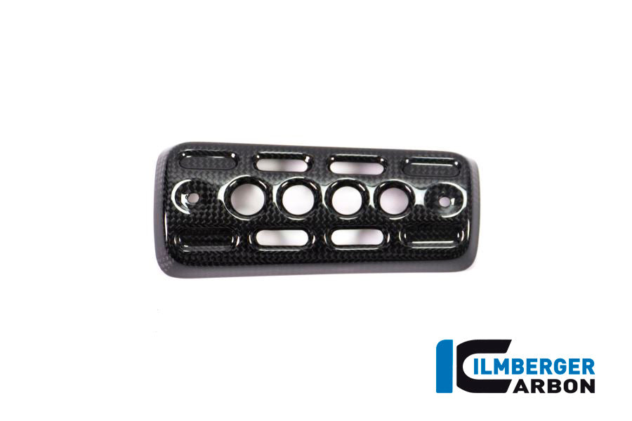 Ilmberger Carbon Silencer Protector Carbon - BMW R nineT Urban GS