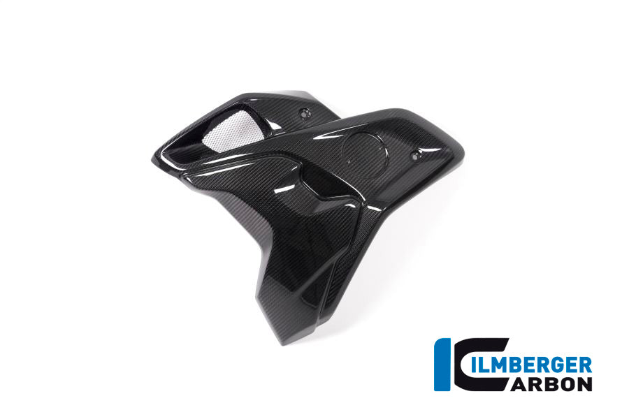 Ilmberger Carbon Airtube Left Incl. Flap (2 Pieces) BMW R 1250 GS