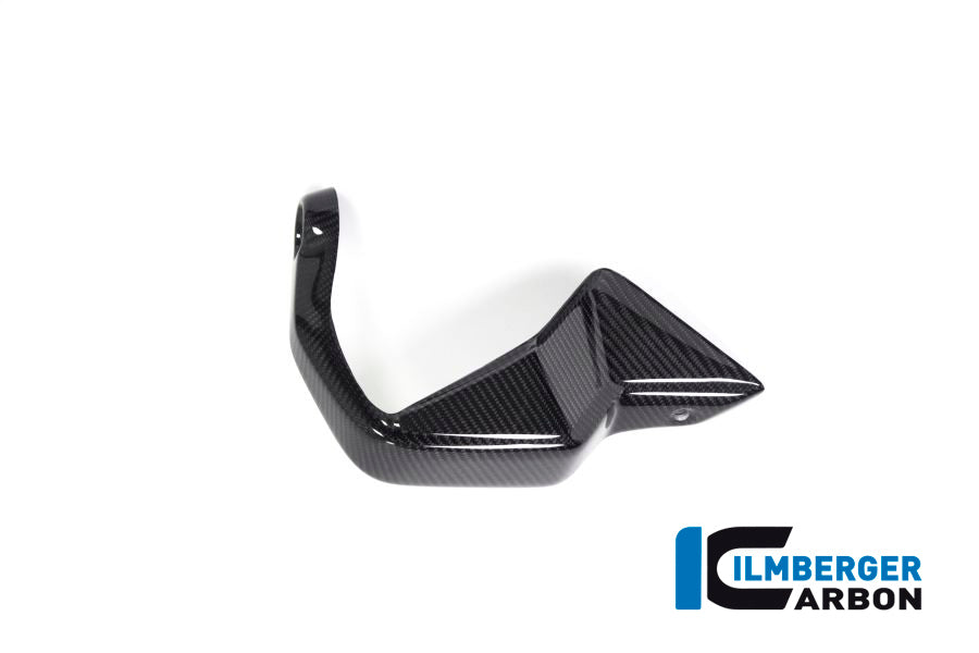 Ilmberger Carbon Hand Protector Right Side BMW R 1250 GS