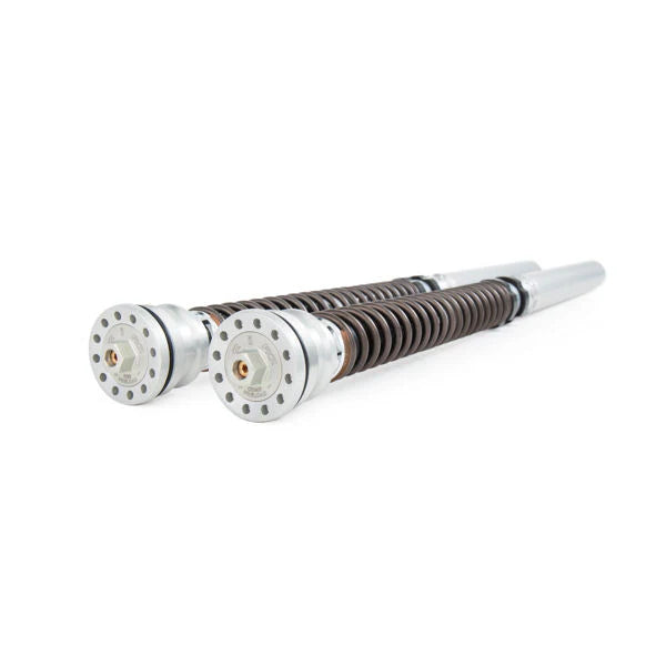 Ohlins FKR 124 Pressurized Front Fork Cartridge Kit For Panigale V4R
