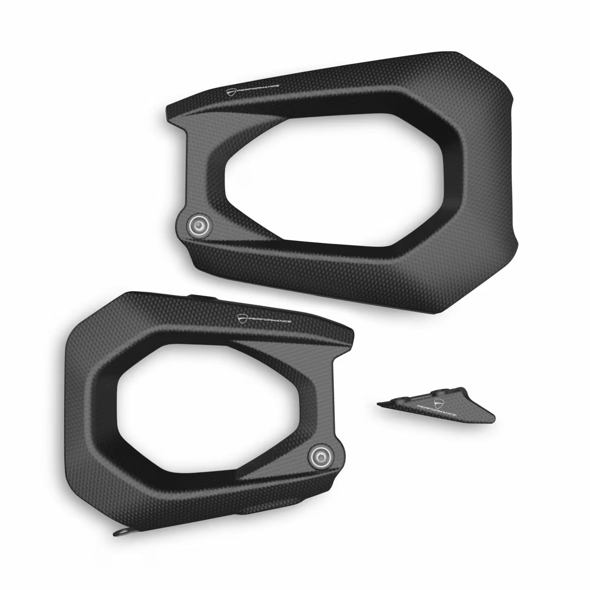 Ducati Performance Carbon Swingarm Guard
